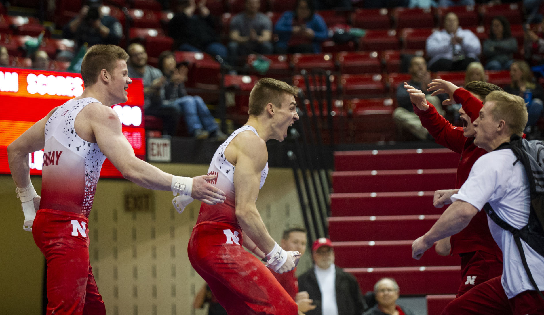 NU men's gymnastics vs. Illinois, Oklahoma, 2.2